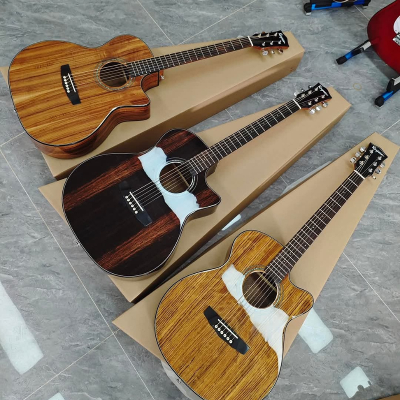 guitar (Taste t220) - Image 2